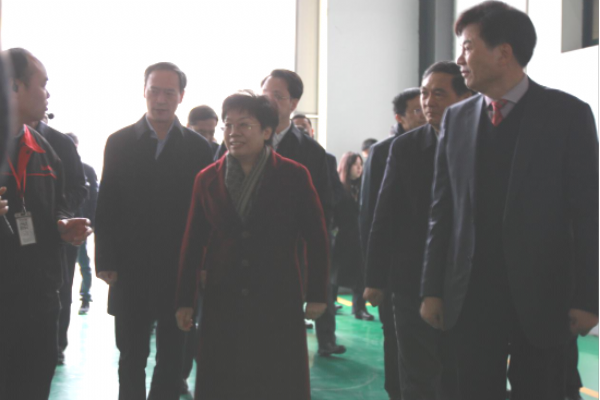 台州市党政代表团来CQ9电子考察