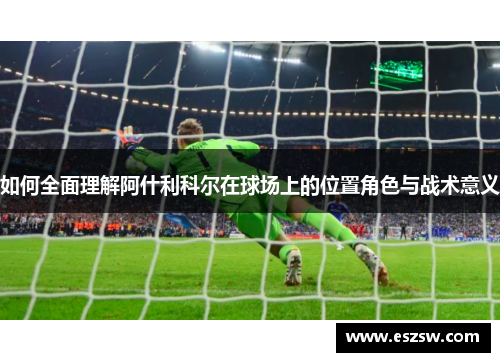 如何全面理解阿什利科尔在球场上的位置角色与战术意义