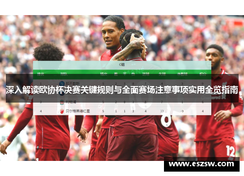 深入解读欧协杯决赛关键规则与全面赛场注意事项实用全览指南